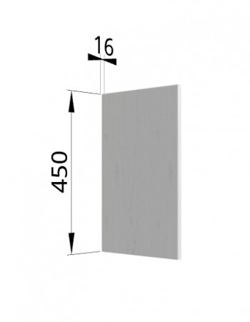 Панель торцевая (для шкафа горизонтального высокого) ВПГ Ройс (Графит софт) в Бийске - bijsk.mebel54.com | фото
