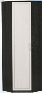 Шкаф для одежды угловой ДЛЯ ГОСТИНОЙ ШОУ-695 Венге/Дуб выбеленный в Бийске - bijsk.mebel54.com | фото